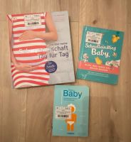 Bücher Schwangerschaft / Geburt / Alltag mit Baby Hessen - Hasselroth Vorschau