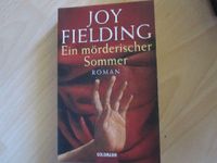 Joy Fielding  Ein mörderischer Sommer Niedersachsen - Sickte Vorschau