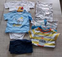 8tlg Sommer Jungen-Paket Gr.62 Sachsen - Lichtenberg Vorschau