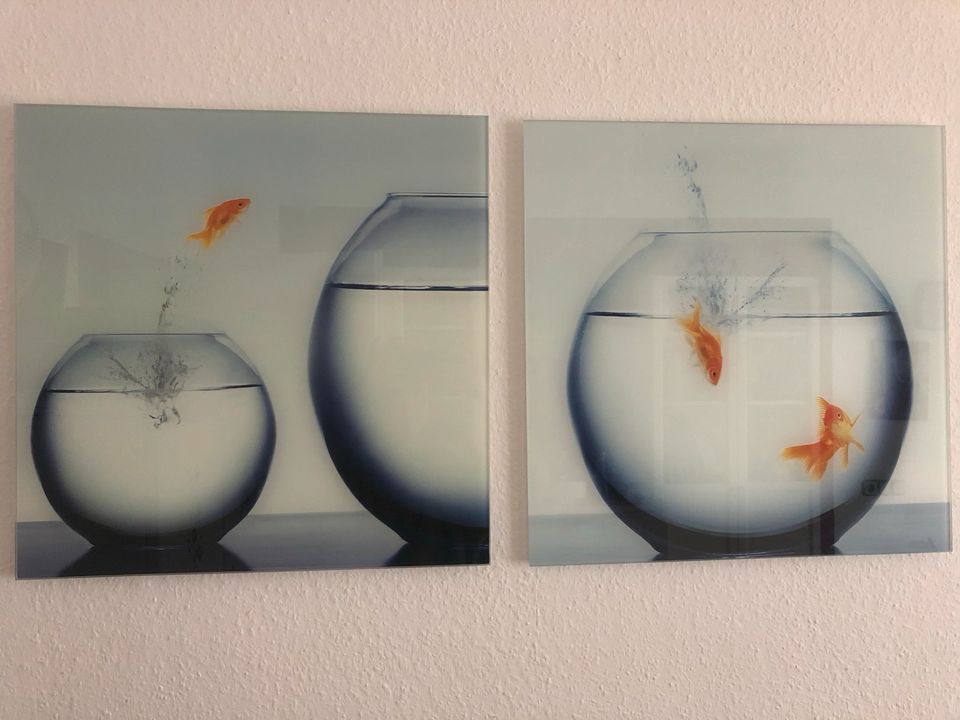 Glasbilder Goldfische in Berlin