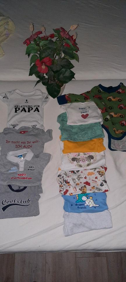 12x body topomini baby club c&a h&m 62 und 62/68 in Bad Belzig