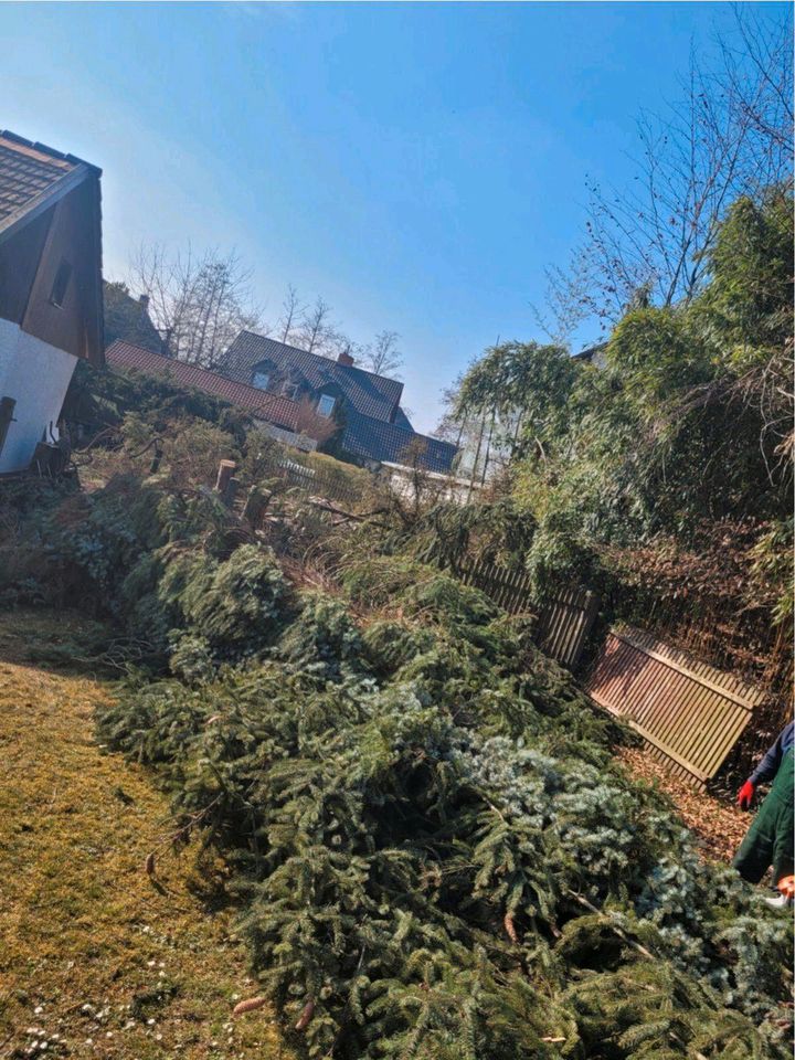 ❗Baumfällung,Hecke/Problem/Baum fällen / entfernen,Sturmschaden in Bruckberg bei Landshut