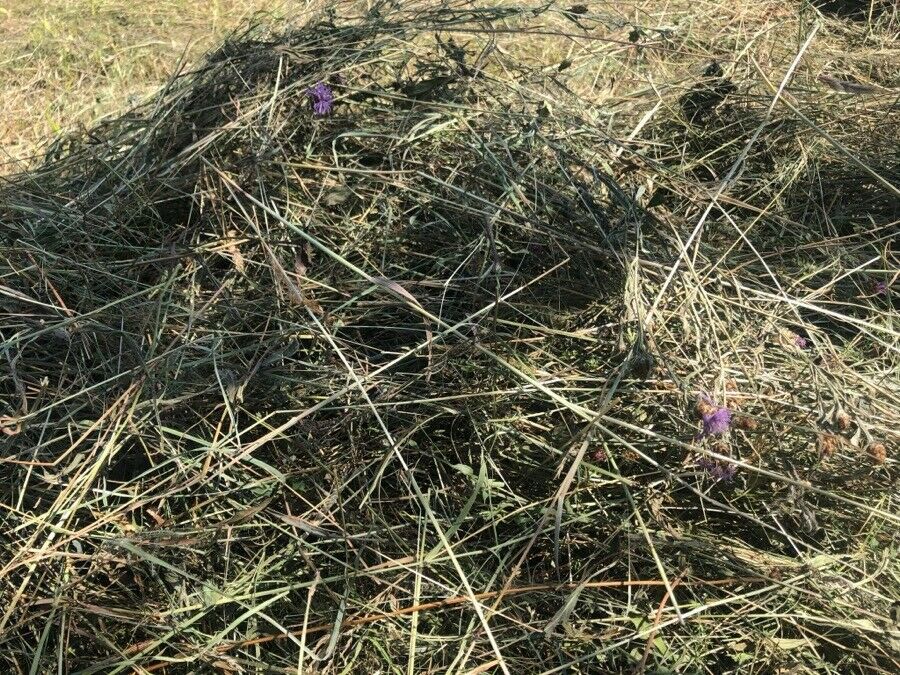 Heu in kleinen HD Ballen - Heuballen Ernte 2024 - Vorbestellung in Hungen