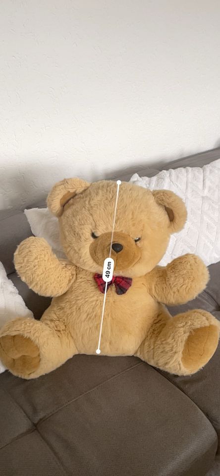 Teddybär sauber und groß in Göttingen