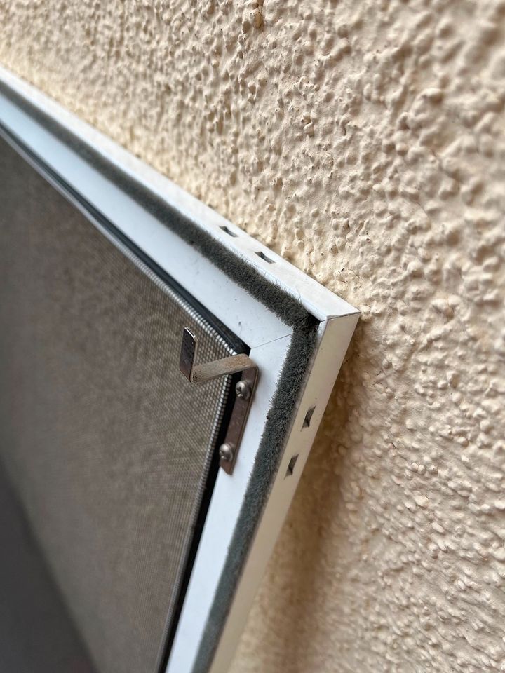 Fenster Insektenschutz / Insektenschutzgitter in Adelsried