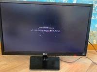 LG Flatron E2442T 24 Zoll LED Flachbildschirm Bayern - Neuhaus a.d. Pegnitz Vorschau