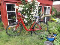 Wie neu! Pegasus SL 7, Fahrrad tiefer Einstieg, rot, Senioren 28" Nordrhein-Westfalen - Steinfurt Vorschau