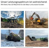 Baumfällungen Fällung Baumfäller Baumfällen Niedersachsen - Springe Vorschau