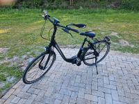 E-Bike Raleigh, baugleich Kalkhoff Tiefeinsteiger Niedersachsen - Wardenburg Vorschau