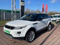 Land Rover Range Rover Evoque Panorama 4x4 Mecklenburg-Vorpommern - Greifswald Vorschau
