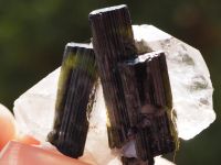 Mineralien : Stufe mit 3 Turmaline - Elbait von Skardu , Pakistan Hessen - Biebertal Vorschau