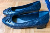 Schlangenhaut Leder Ballerinas Anthrazit Tamaris Gr. 38 neu Bayern - Konradsreuth Vorschau