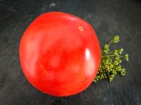 griechische Fleischtomate "Paros" rot aromatisch+fruchtig Bayern - Waigolshausen Vorschau