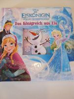 Frozen / Eiskönigin Buch Sachsen - Mühlau Vorschau