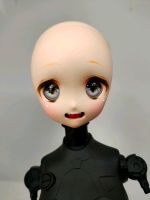 BJD - Dollfie Dream Head Schleswig-Holstein - Rethwisch (Stormarn) Vorschau