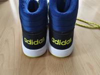 adidas Sneaker High / Basketballschuhe Gr. 39 1/2 Köln - Worringen Vorschau