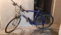 Trekking- Sport und Crossrad (Hercules)  28 Zoll Schleswig-Holstein - Leck Vorschau