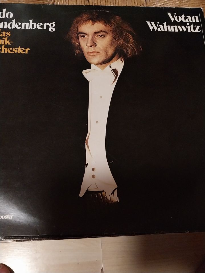 Schallplatten 10 Lp von Udo Lindenberg in Gelsenkirchen