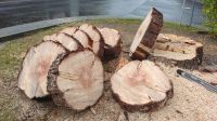 5 x Mammutbaum, Redwood, Holzscheibe, Baumscheibe, Tischplatte Bad Salzungen - Frauensee Vorschau