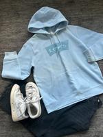 1mal getragener Levis Hoodie Gr. M Frottee (Nike Blazer) Nordrhein-Westfalen - Detmold Vorschau