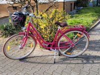 Pegasus 19Zoll Damenrad Bici Italia in pink Hessen - Mörfelden-Walldorf Vorschau