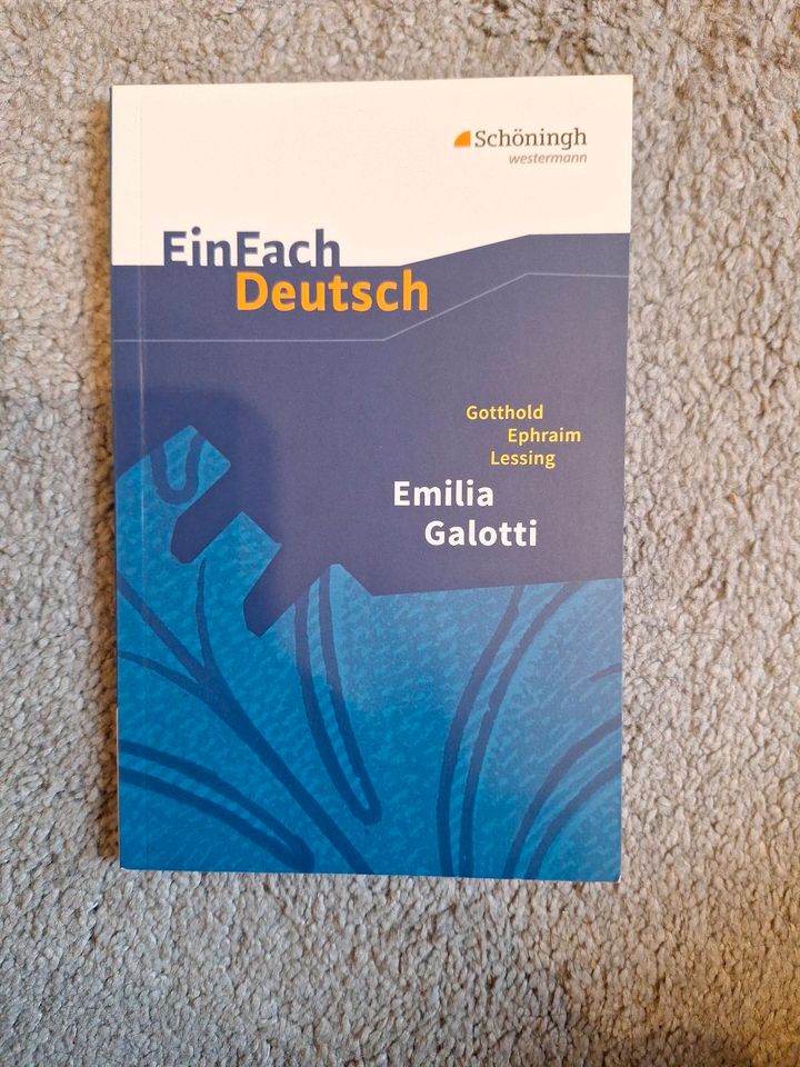 Schulbücher, Abitur Hessen in Söhrewald