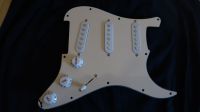 Fender Strat kmpltt.Pickguard Niedersachsen - Stadland Vorschau