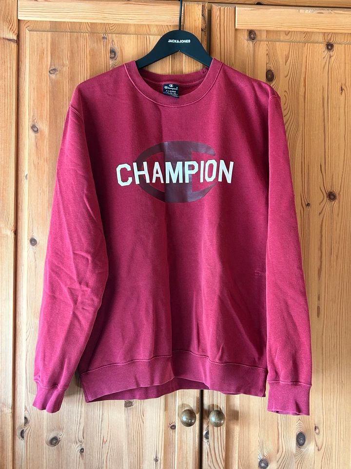 Champion Sweatshirt Pulli Pullover Hoodie weinrot XL in Porta Westfalica