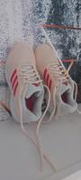 Neu Adidas Schuhe gr.38 Hessen - Wolfhagen  Vorschau