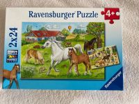 Puzzle Ravensburger ab 4 Jahre Pferde Hessen - Schlüchtern Vorschau