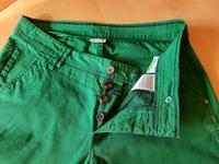 Grüne Sommerhose in Gr. 44 Baden-Württemberg - Erbach Vorschau
