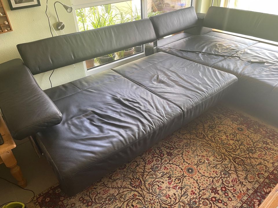 Wohnlandschaft Couchgarnitur Eckcouch Sofa Leder in Bogel