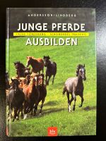 Junge Pferde ausbilden Nordrhein-Westfalen - Sprockhövel Vorschau