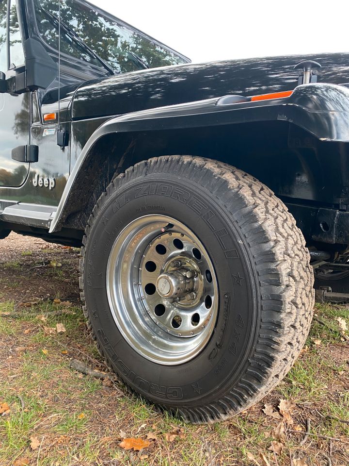 Jeep Wrangler YJ 2,5 1995 in Wünschendorf