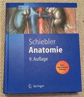 Anatomie - Schiebler Altona - Hamburg Ottensen Vorschau