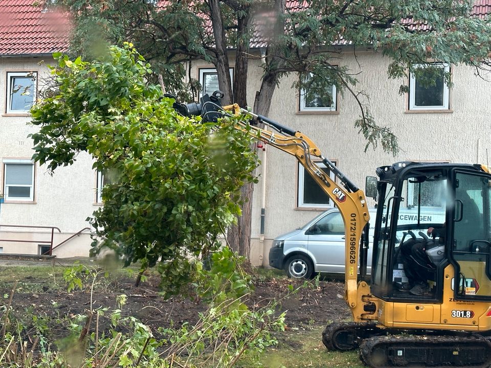 Minibagger mieten in Sachsenburg