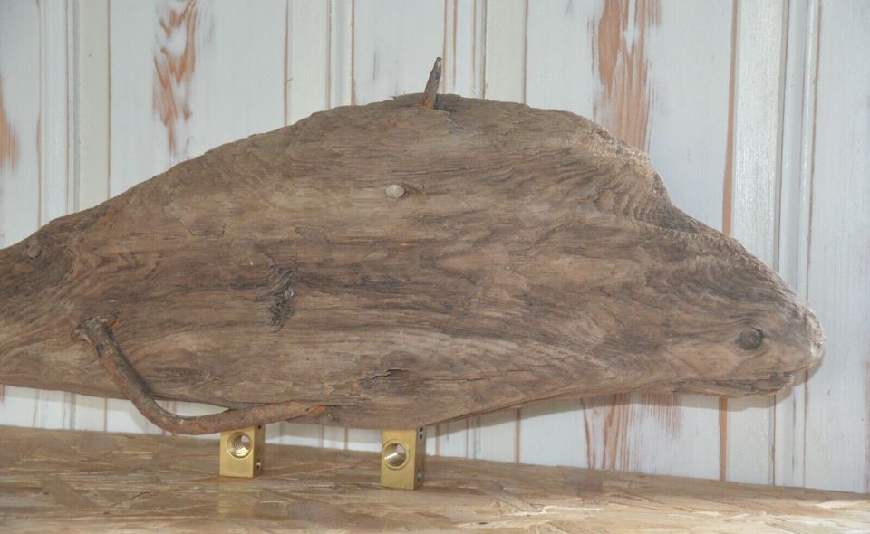 Treibholz Schwemmholz Skulptur Deko (Fisch) m. antiken Nagel in Waldbröl