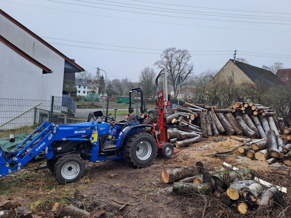 Lohnspalten Holzspalten Spaltarbeiten Brennholz Spalten Dienstlei in Bexbach