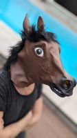 Pferd Maske, Überziehmaske Pferdekopf für Motto-Party, Nordrhein-Westfalen - Verl Vorschau