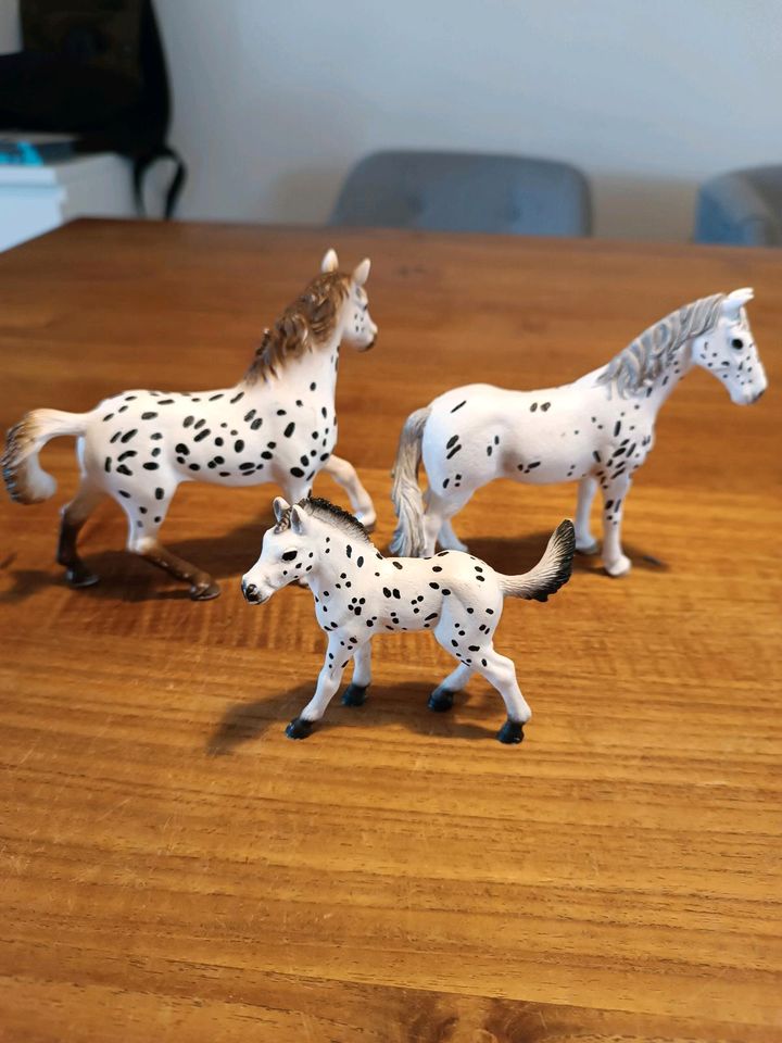 Schleich pferde Knabstrupper Hengst 13889, Stute 13910, Fohlen in Hohenthurm