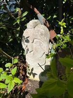 Großer Kopf aus Beton Mega Garten Deko Skulptur 62cm hoch Nordrhein-Westfalen - Ratingen Vorschau