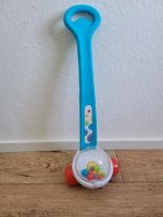 Fisher- Price, Kleinkindspielzeug, Schiebespielzeug Sachsen - Radeberg Vorschau