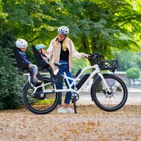 Simply.Lift NEO E-Lastenrad Family-Bundle Wandsbek - Hamburg Bergstedt Vorschau