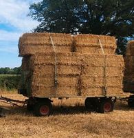 Stroh Quaderballen Rundballen Nordrhein-Westfalen - Velen Vorschau