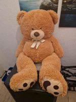 Große Teddybär Niedersachsen - Springe Vorschau