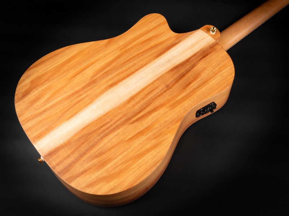 2022 Cole Clark FL3EC-BLBL Tasmanian Blackwood Abalone Pickup in Niebüll