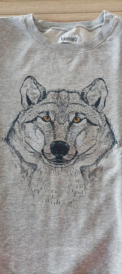 Sweatshirt von Lamino mit Wolf Motiv, Gr. 146 in Lalendorf