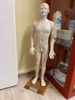 Akupunktur Model Figur Mann Niedersachsen - Vechelde Vorschau