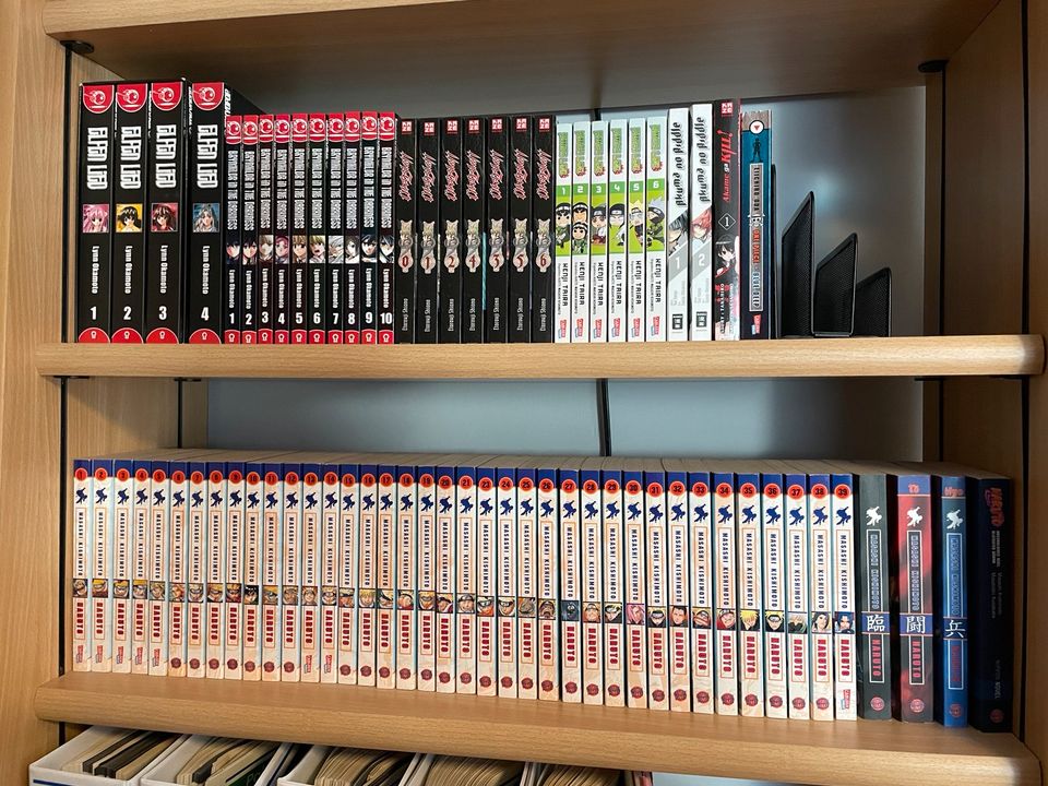 Manga Sammlung in Lotte