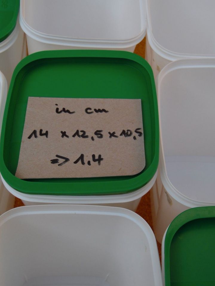 Vorratsdosen - ca. 1,4  l - Lagerdosen - lebensmittelecht in Hettstadt